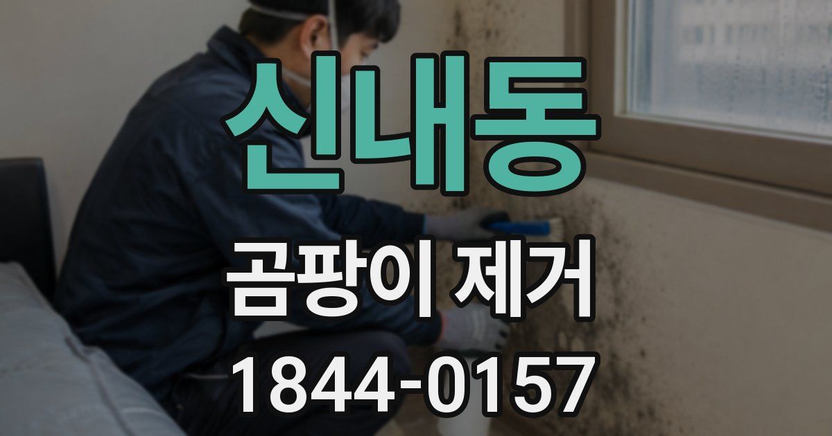 신내동 곰팡이 제거