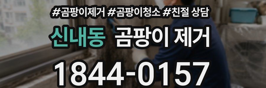 신내동 곰팡이 제거