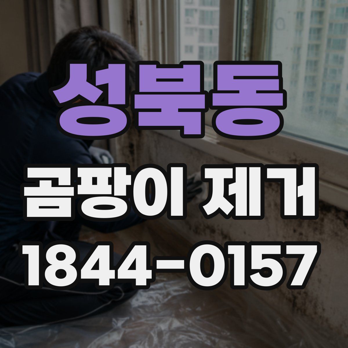성북동 곰팡이 제거