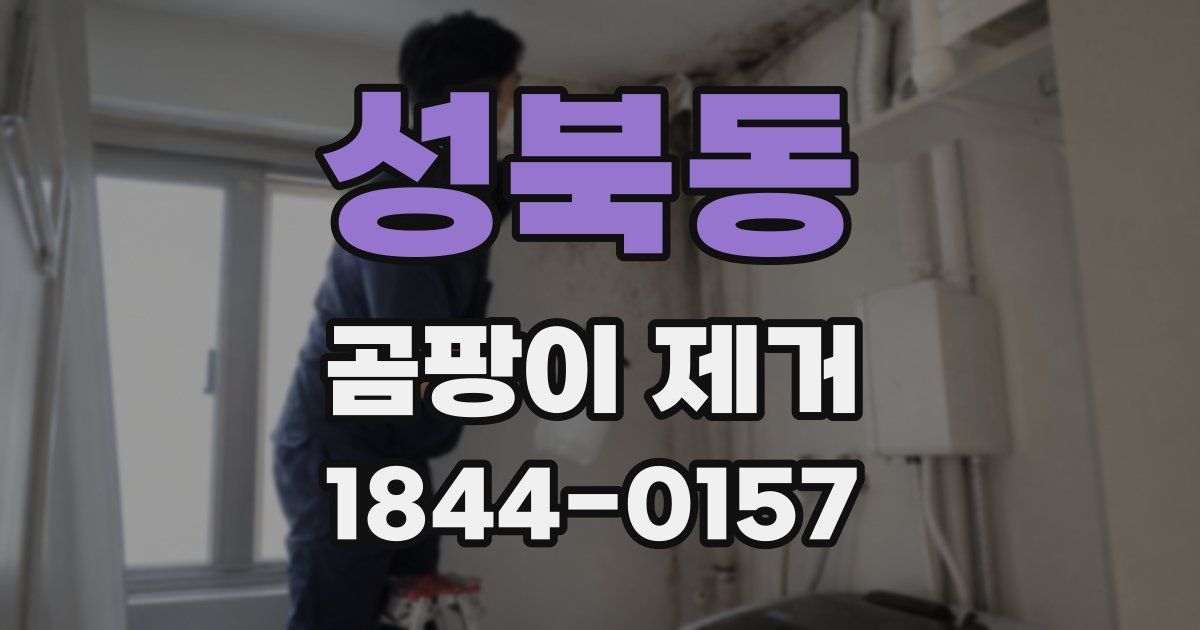 성북동 곰팡이 제거