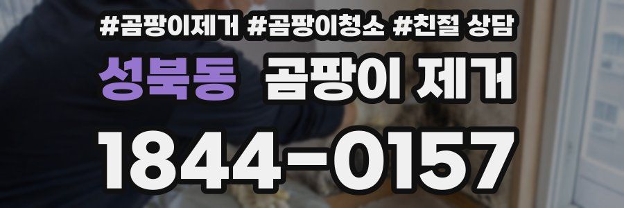 성북동 곰팡이 제거