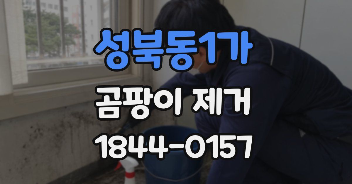 성북동1가 곰팡이 제거