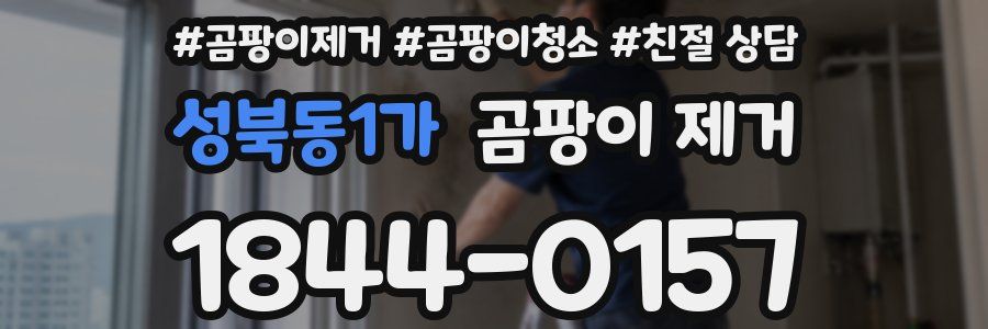 성북동1가 곰팡이 제거