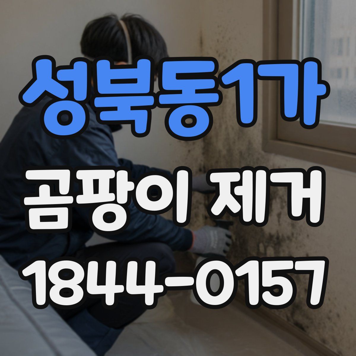 성북동1가 곰팡이 제거