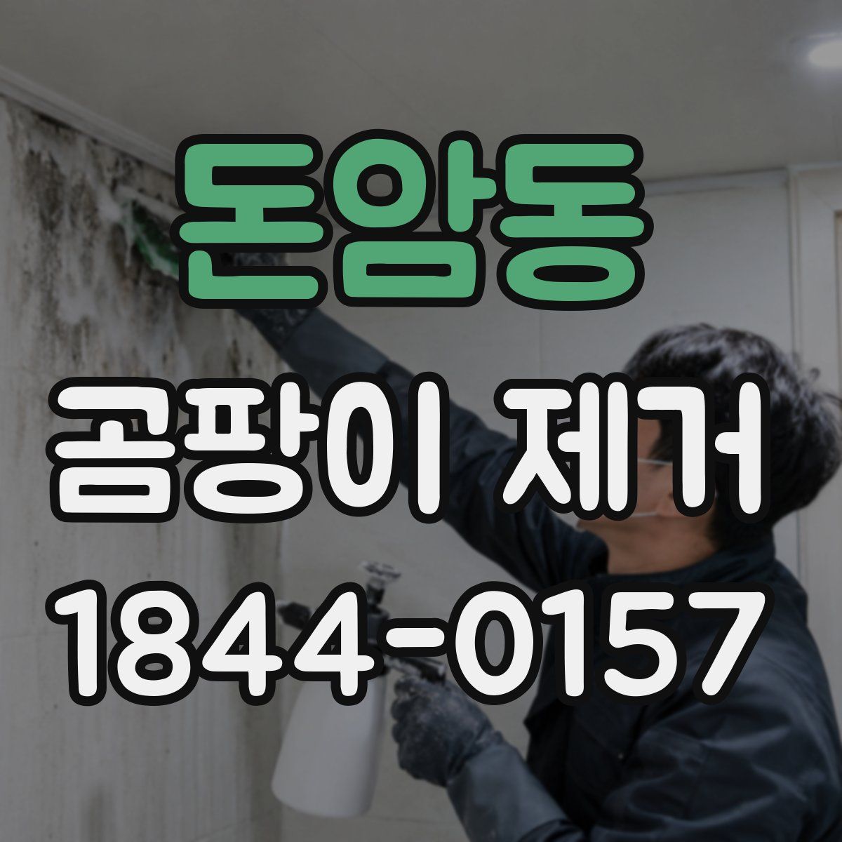 돈암동 곰팡이 제거