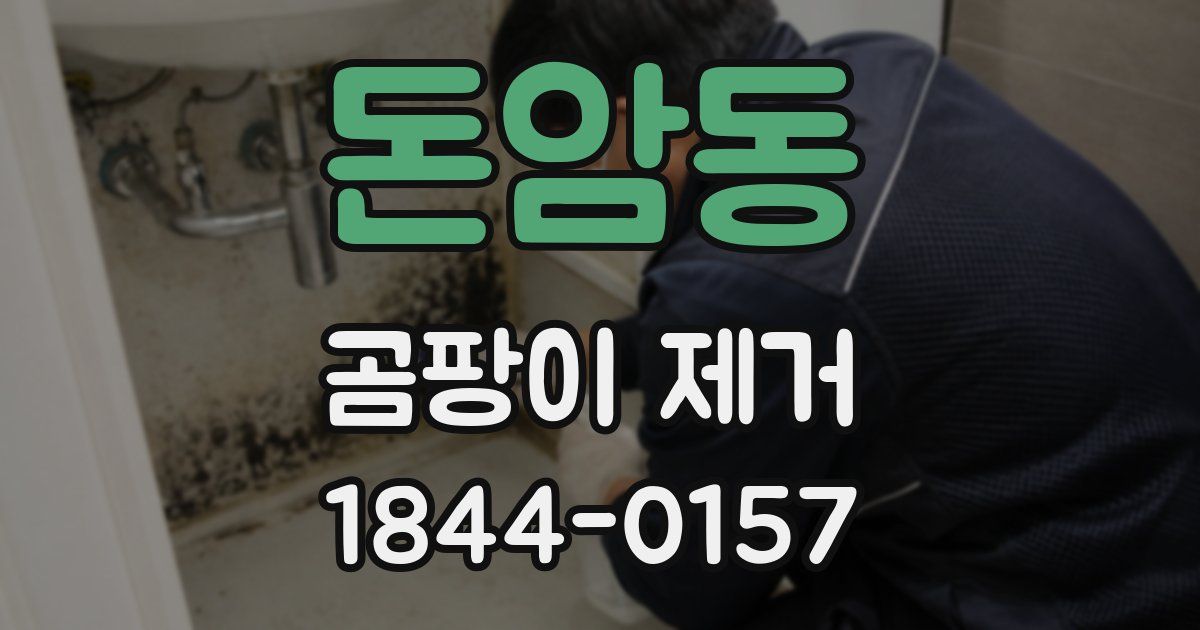 돈암동 곰팡이 제거