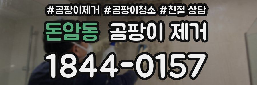 돈암동 곰팡이 제거