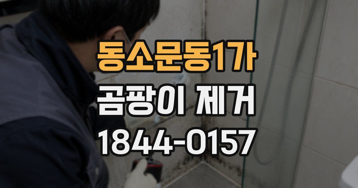 동소문동1가 곰팡이 제거