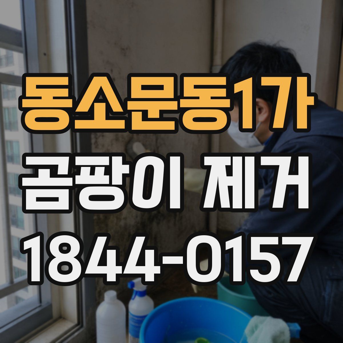 동소문동1가 곰팡이 제거