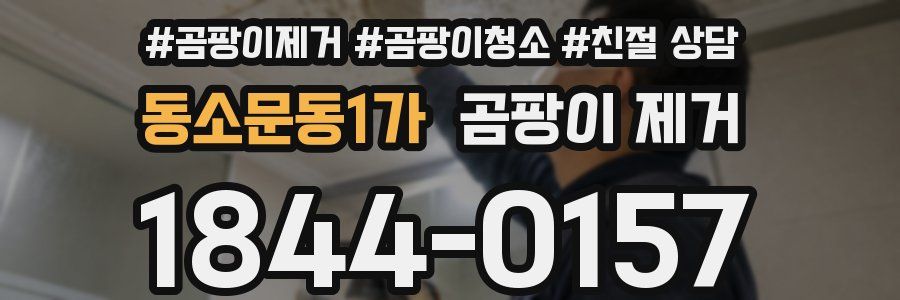 동소문동1가 곰팡이 제거