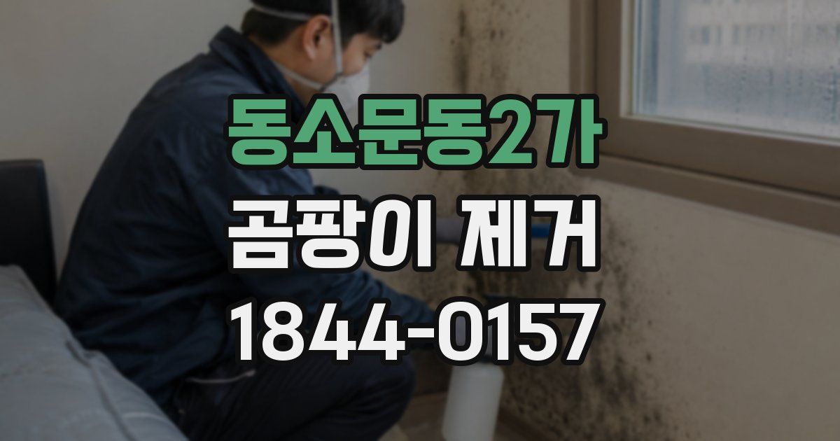 동소문동2가 곰팡이 제거