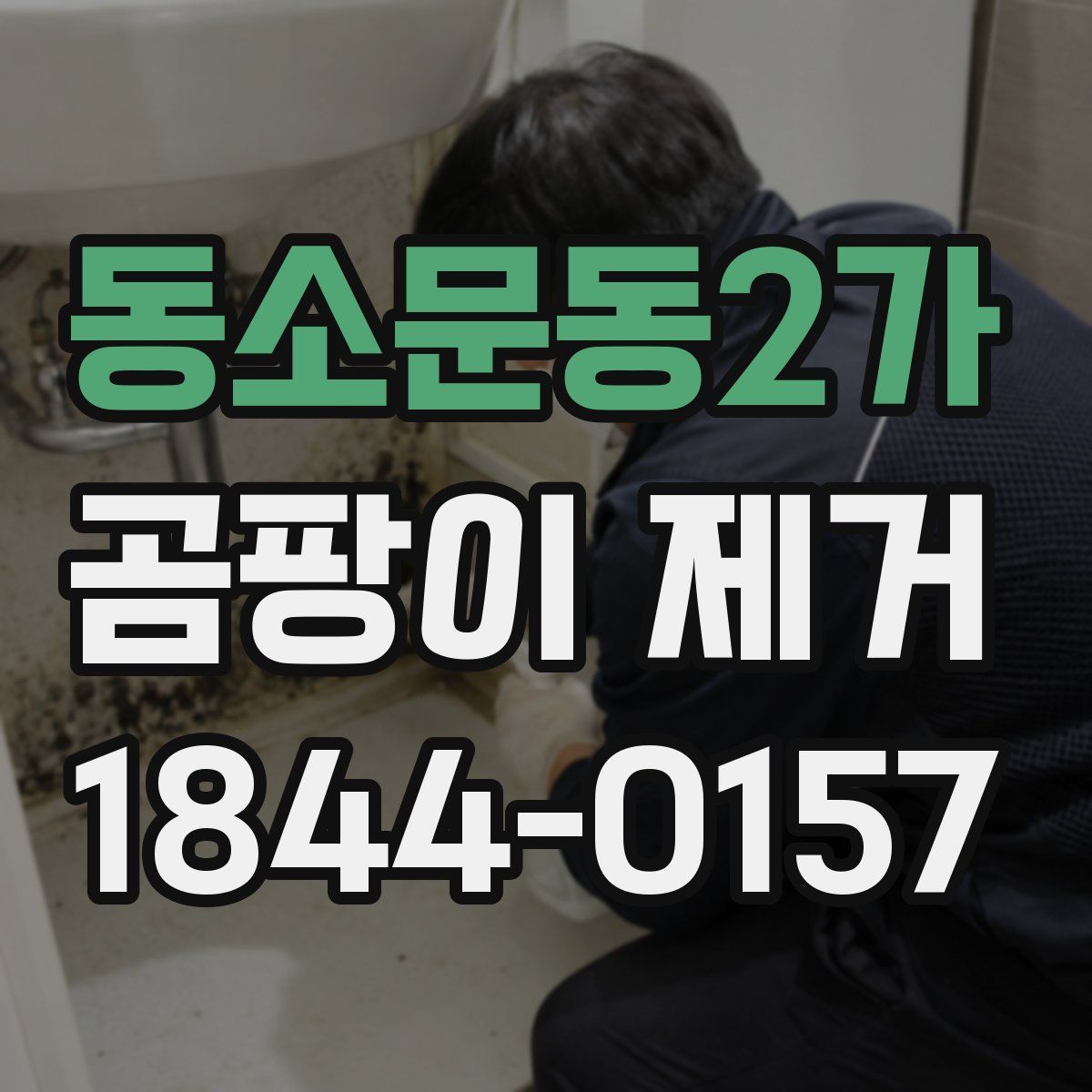 동소문동2가 곰팡이 제거