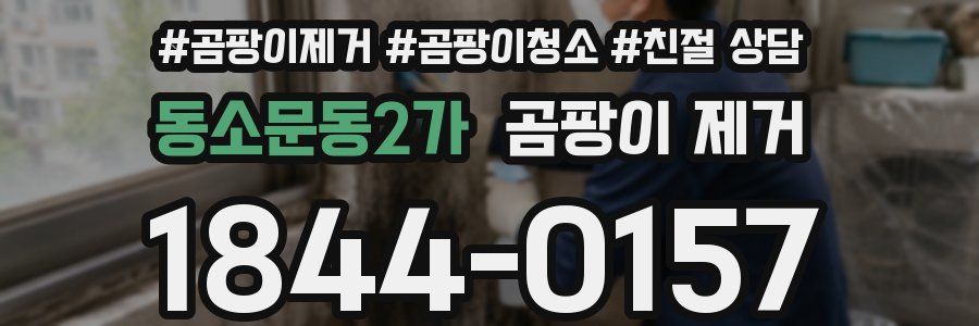 동소문동2가 곰팡이 제거