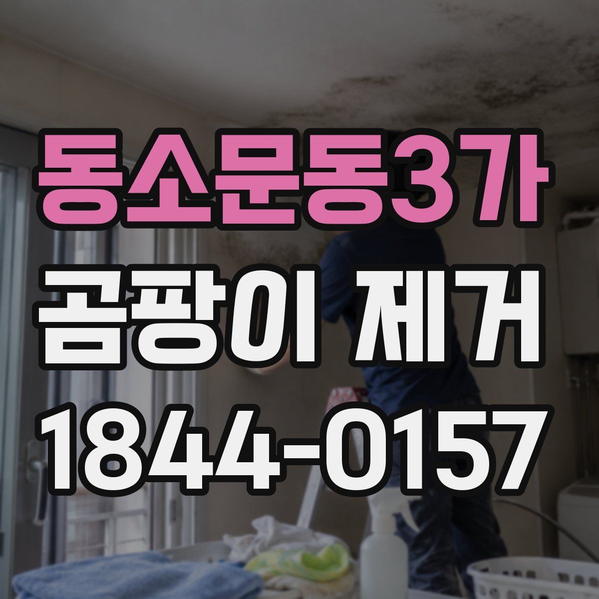동소문동3가 곰팡이 제거
