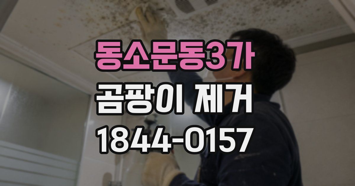 동소문동3가 곰팡이 제거