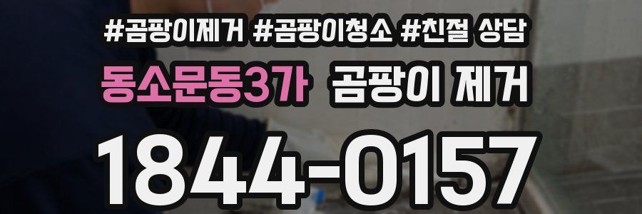 동소문동3가 곰팡이 제거