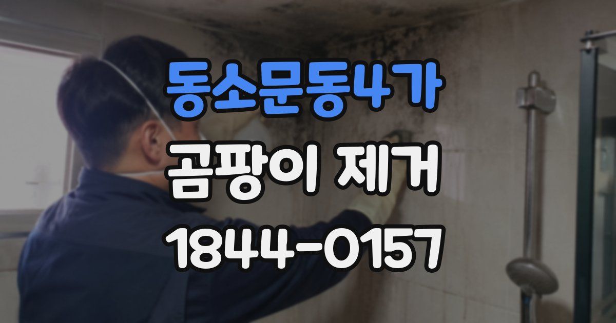 동소문동4가 곰팡이 제거