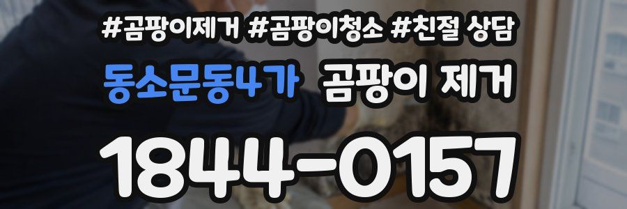 동소문동4가 곰팡이 제거