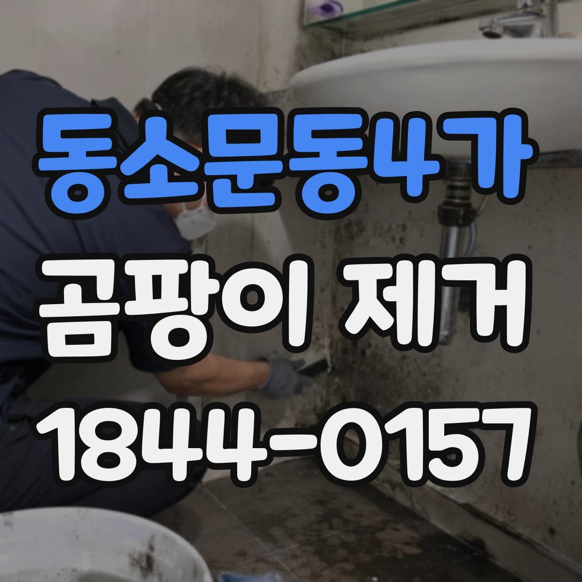 동소문동4가 곰팡이 제거