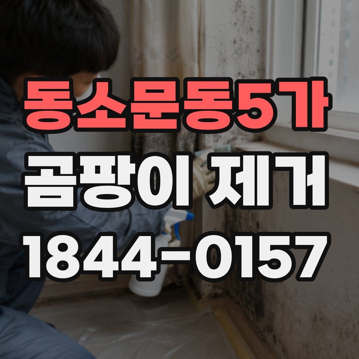 동소문동5가 곰팡이 제거 주택 유형별 관리 포인트