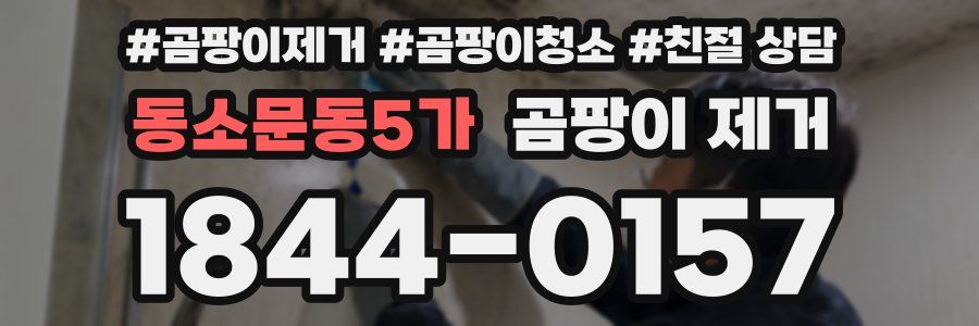 동소문동5가 곰팡이 제거