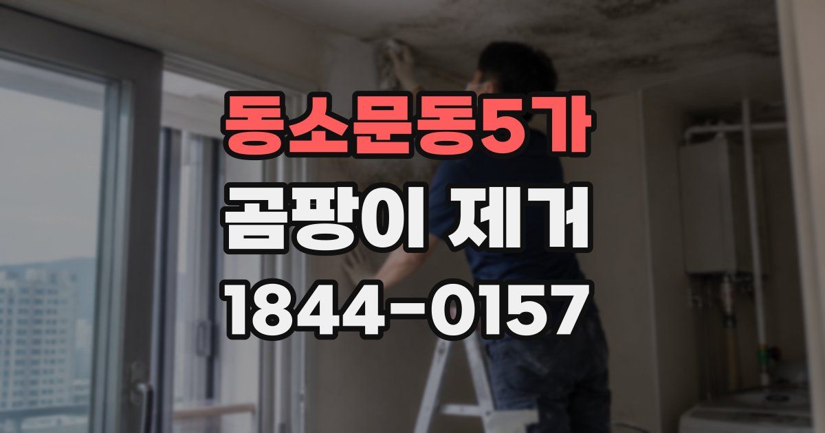 동소문동5가 곰팡이 제거
