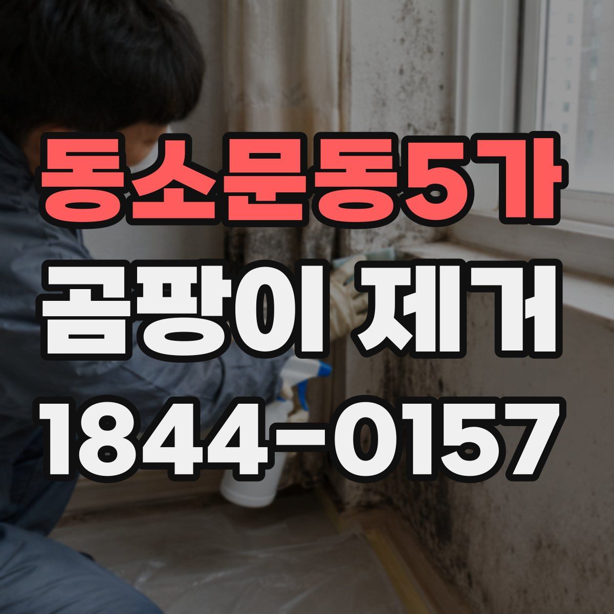 동소문동5가 곰팡이 제거