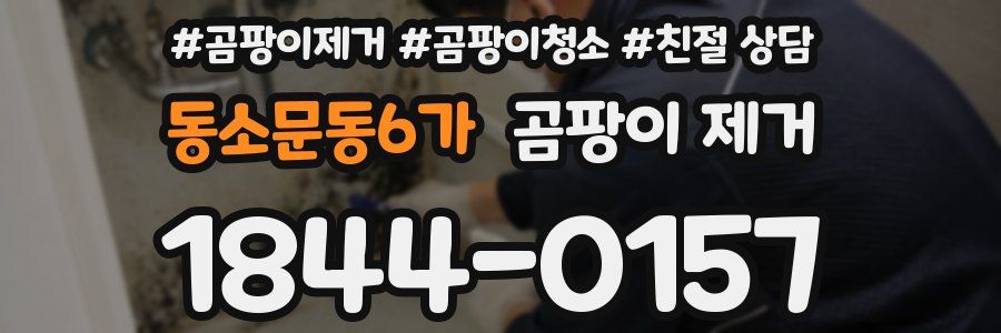 동소문동6가 곰팡이 제거