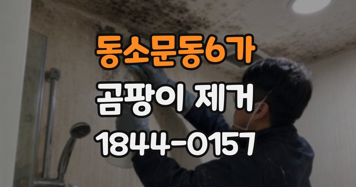 동소문동6가 곰팡이 제거