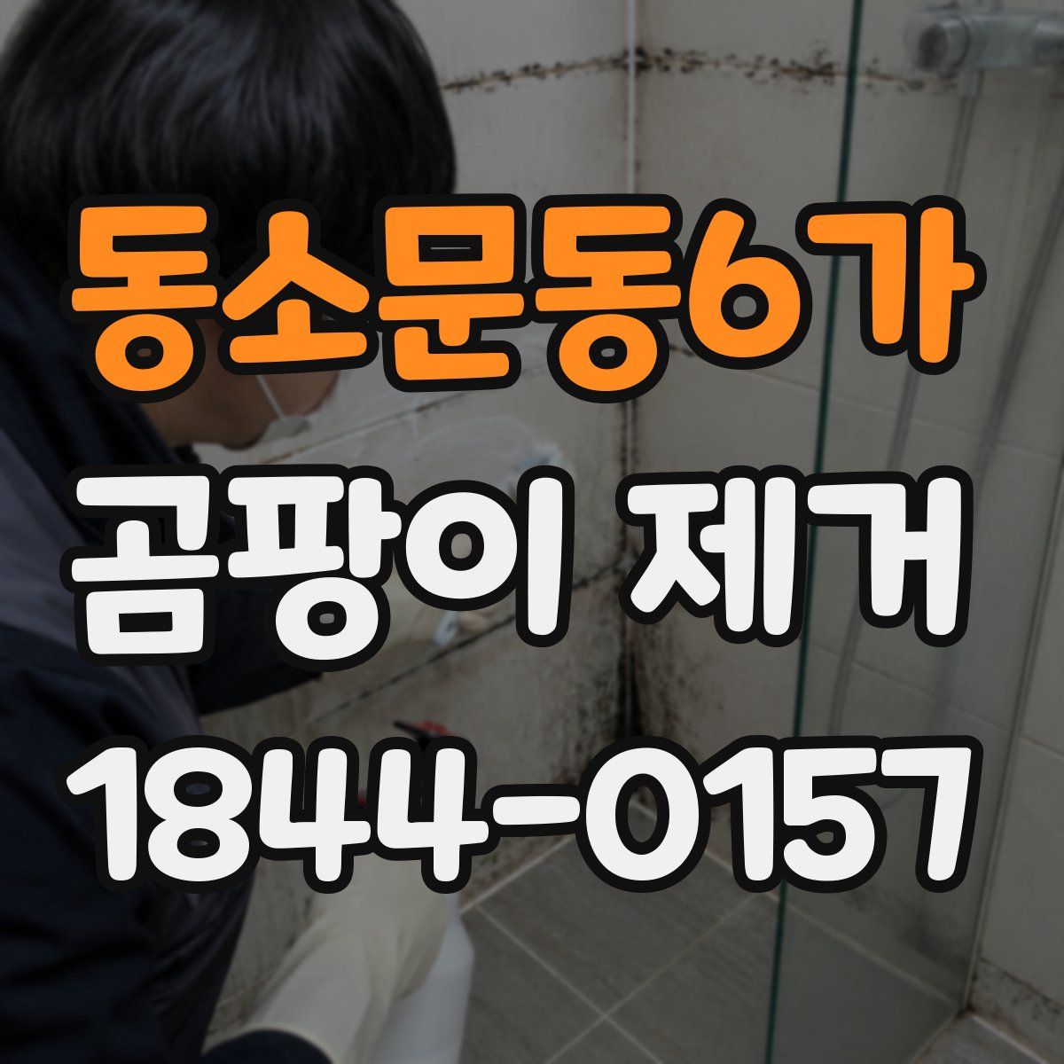 동소문동6가 곰팡이 제거