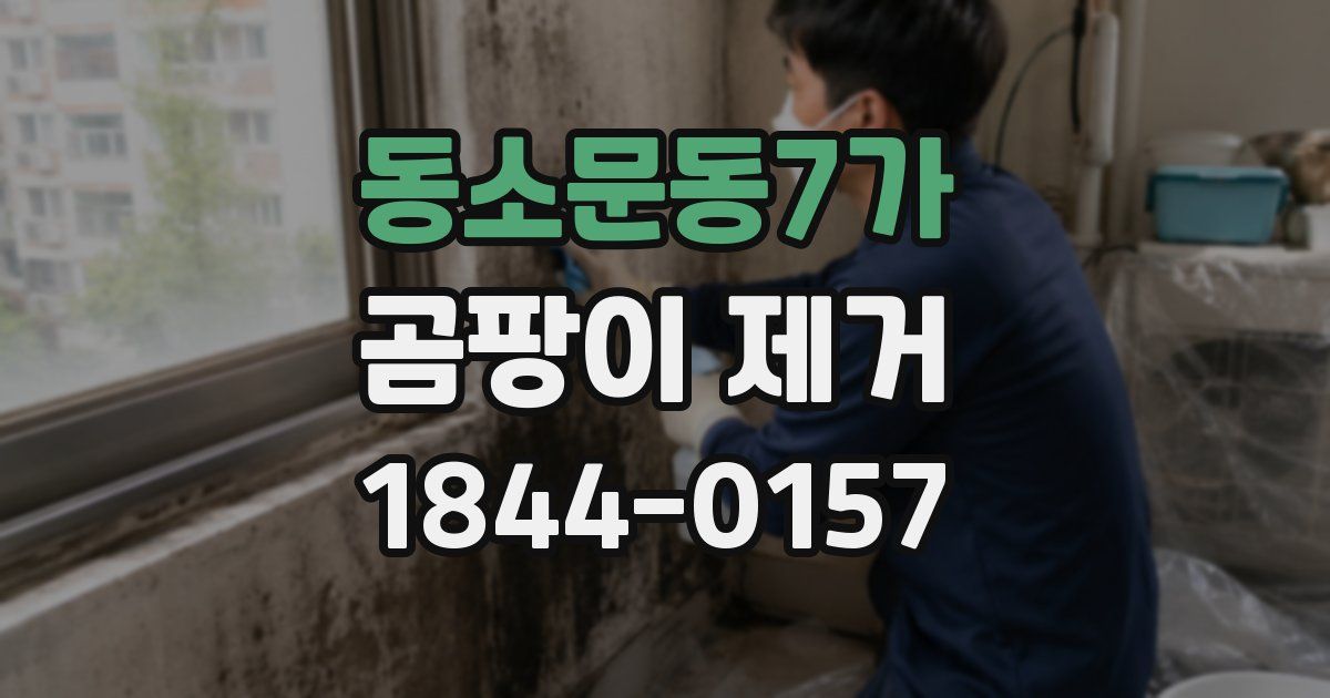 동소문동7가 곰팡이 제거