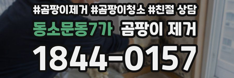 동소문동7가 곰팡이 제거