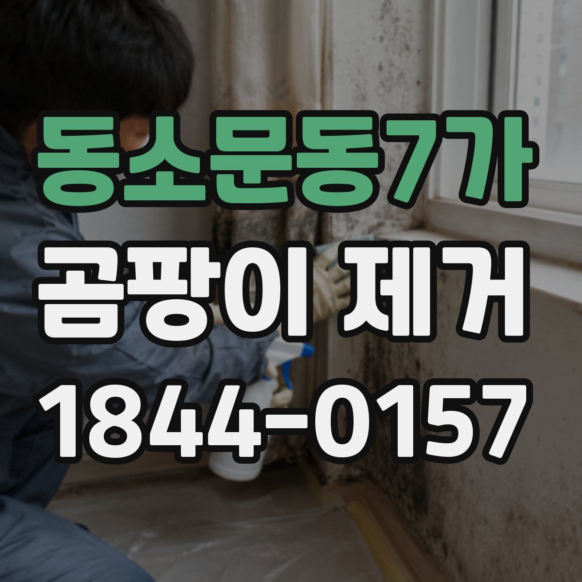 동소문동7가 곰팡이 제거