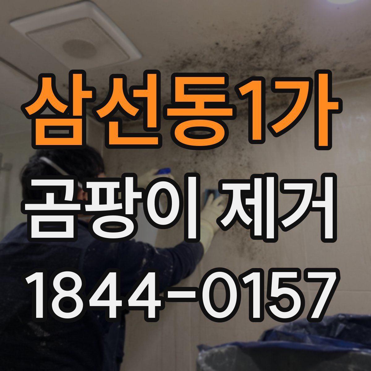 삼선동1가 곰팡이 제거