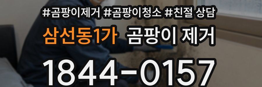 삼선동1가 곰팡이 제거