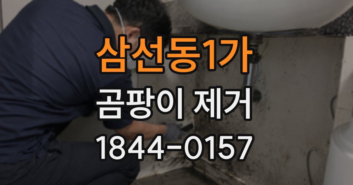 삼선동1가 곰팡이 제거
