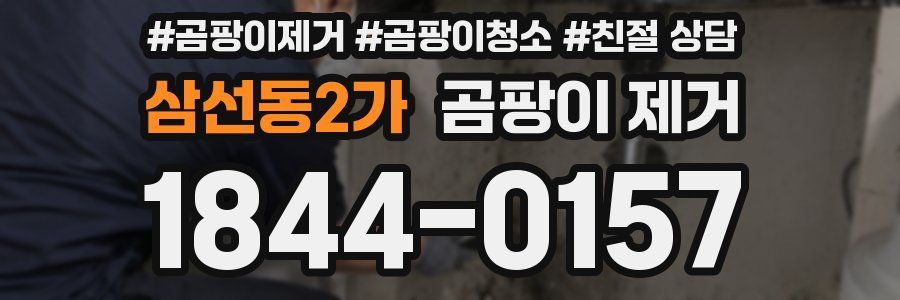 삼선동2가 곰팡이 제거