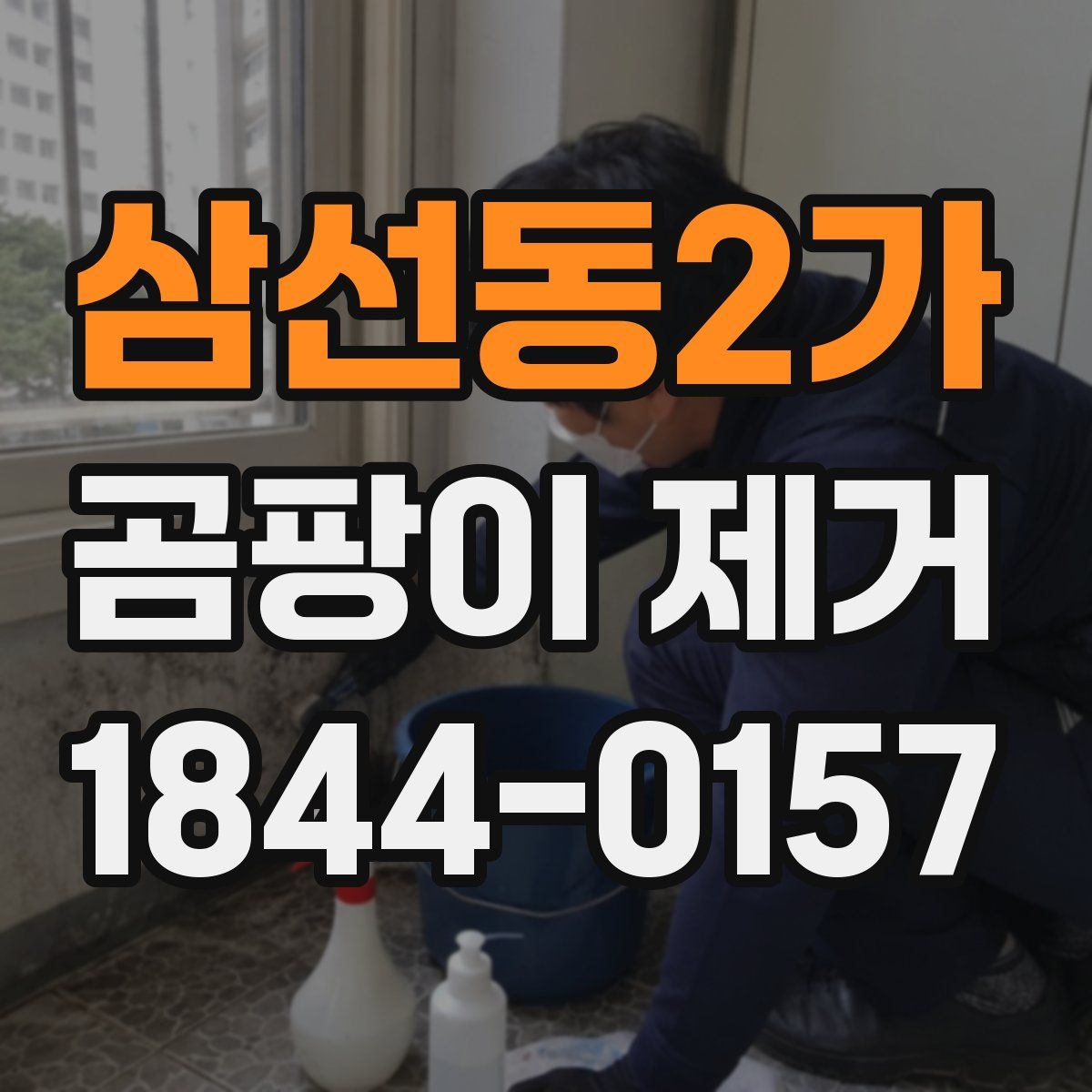 삼선동2가 곰팡이 제거