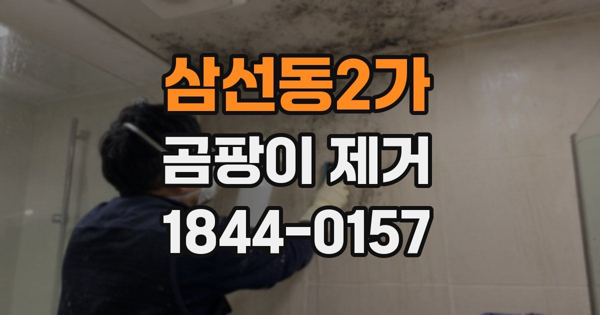 삼선동2가 곰팡이 제거