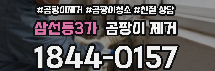 삼선동3가 곰팡이 제거