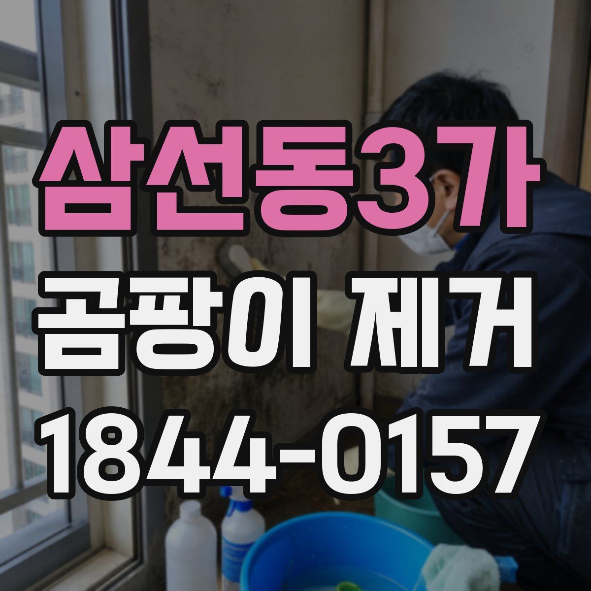삼선동3가 곰팡이 제거