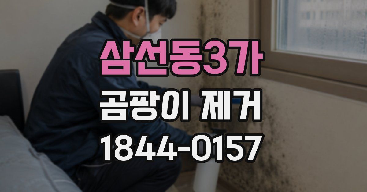 삼선동3가 곰팡이 제거