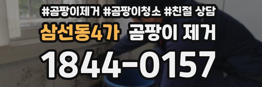 삼선동4가 곰팡이 제거
