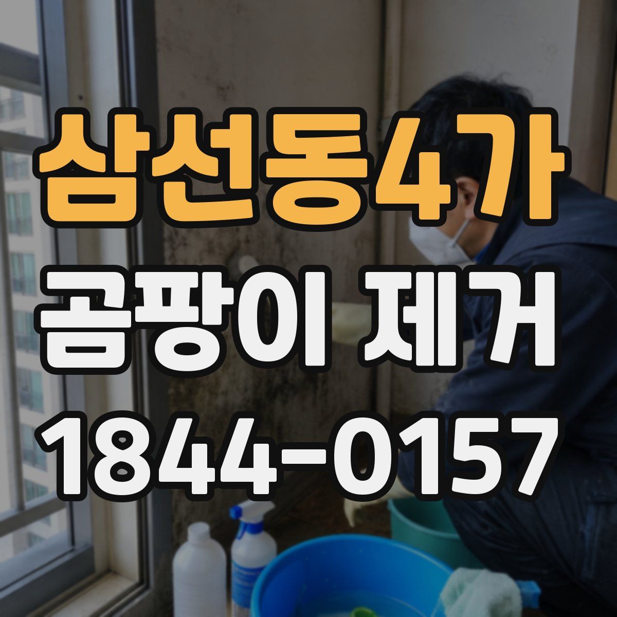 삼선동4가 곰팡이 제거