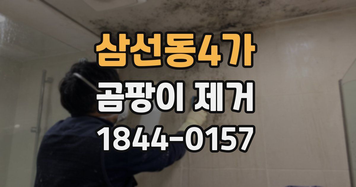 삼선동4가 곰팡이 제거