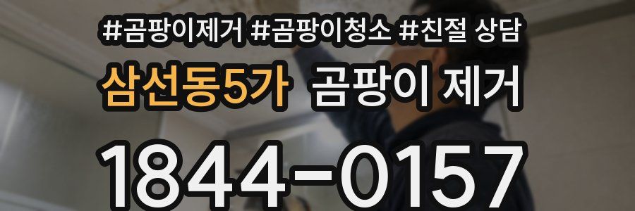 삼선동5가 곰팡이 제거