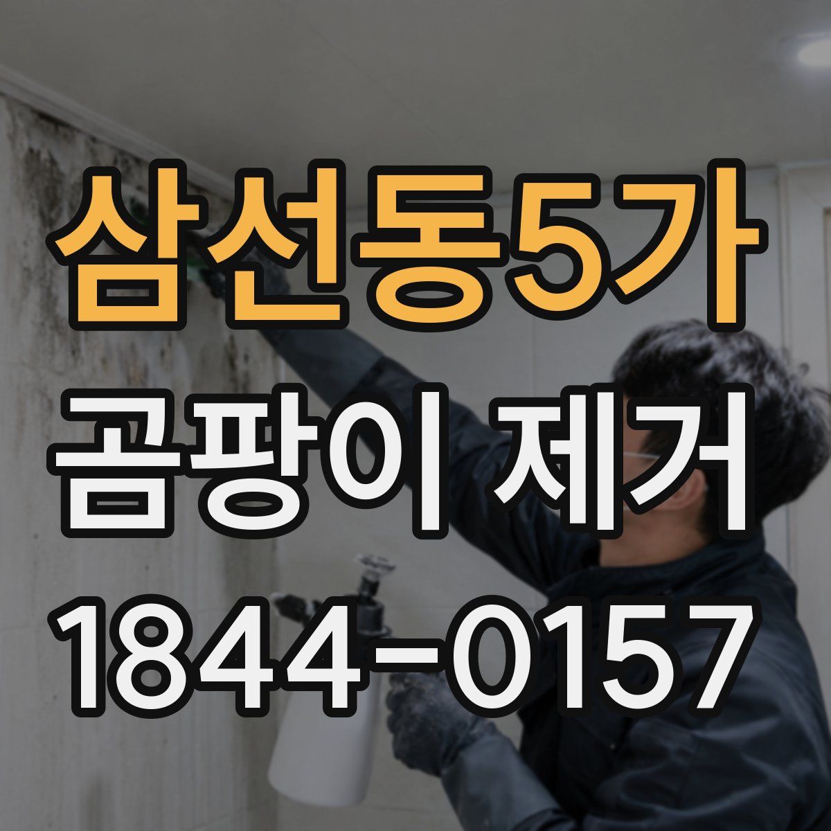 삼선동5가 곰팡이 제거
