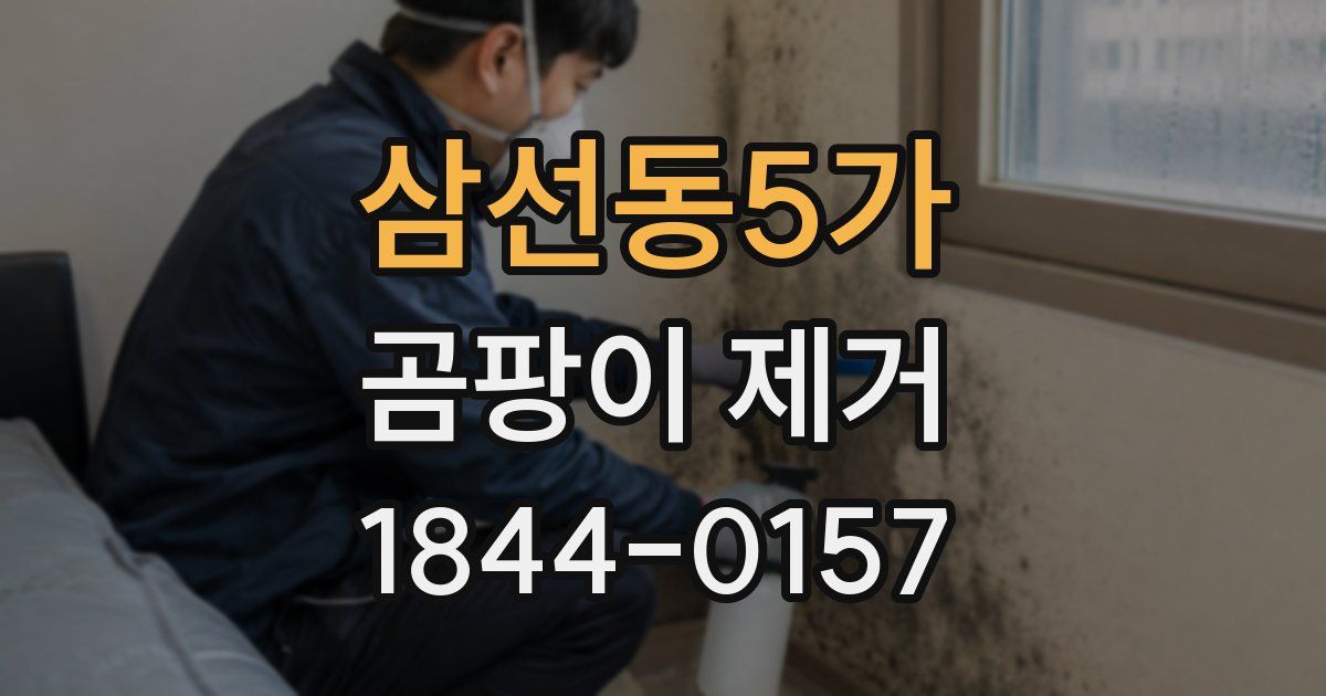삼선동5가 곰팡이 제거