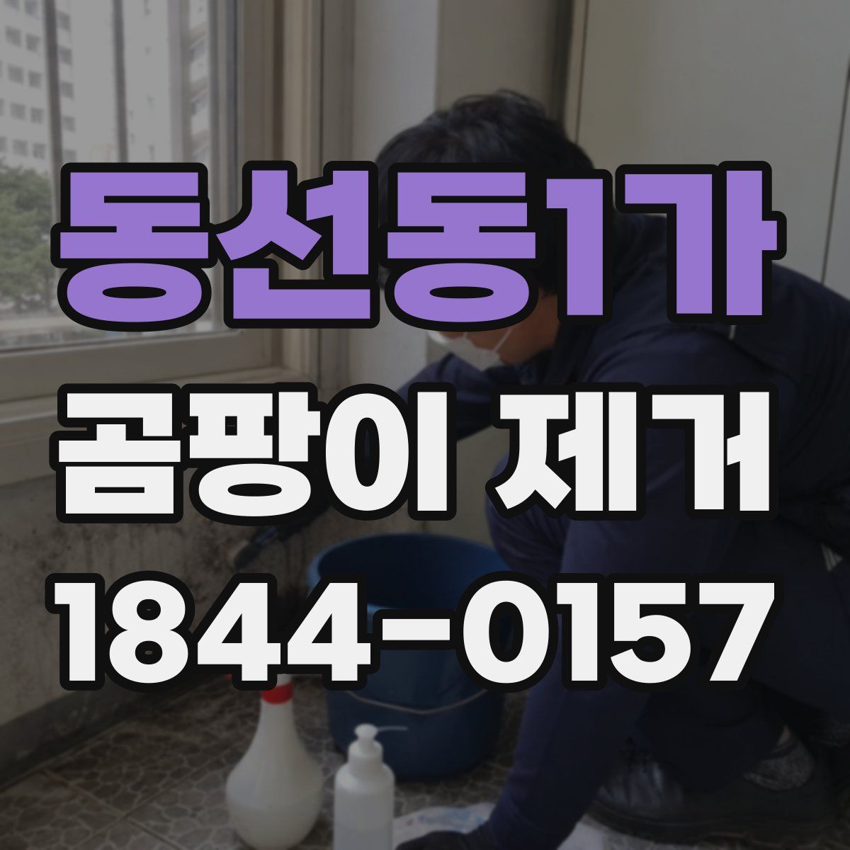 동선동1가 곰팡이 제거