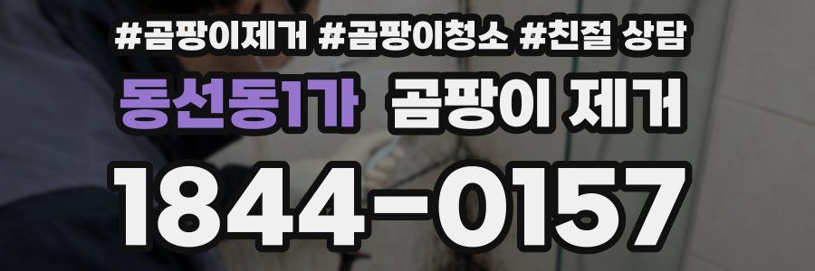 동선동1가 곰팡이 제거
